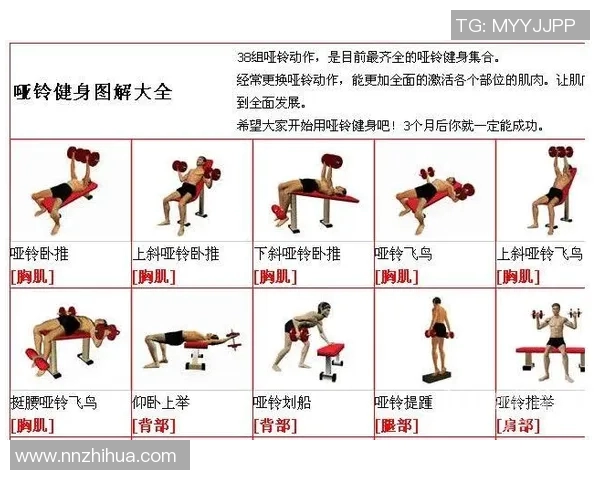 哑铃丰胸锻炼方法视频分享塑造完美曲线的健身秘籍